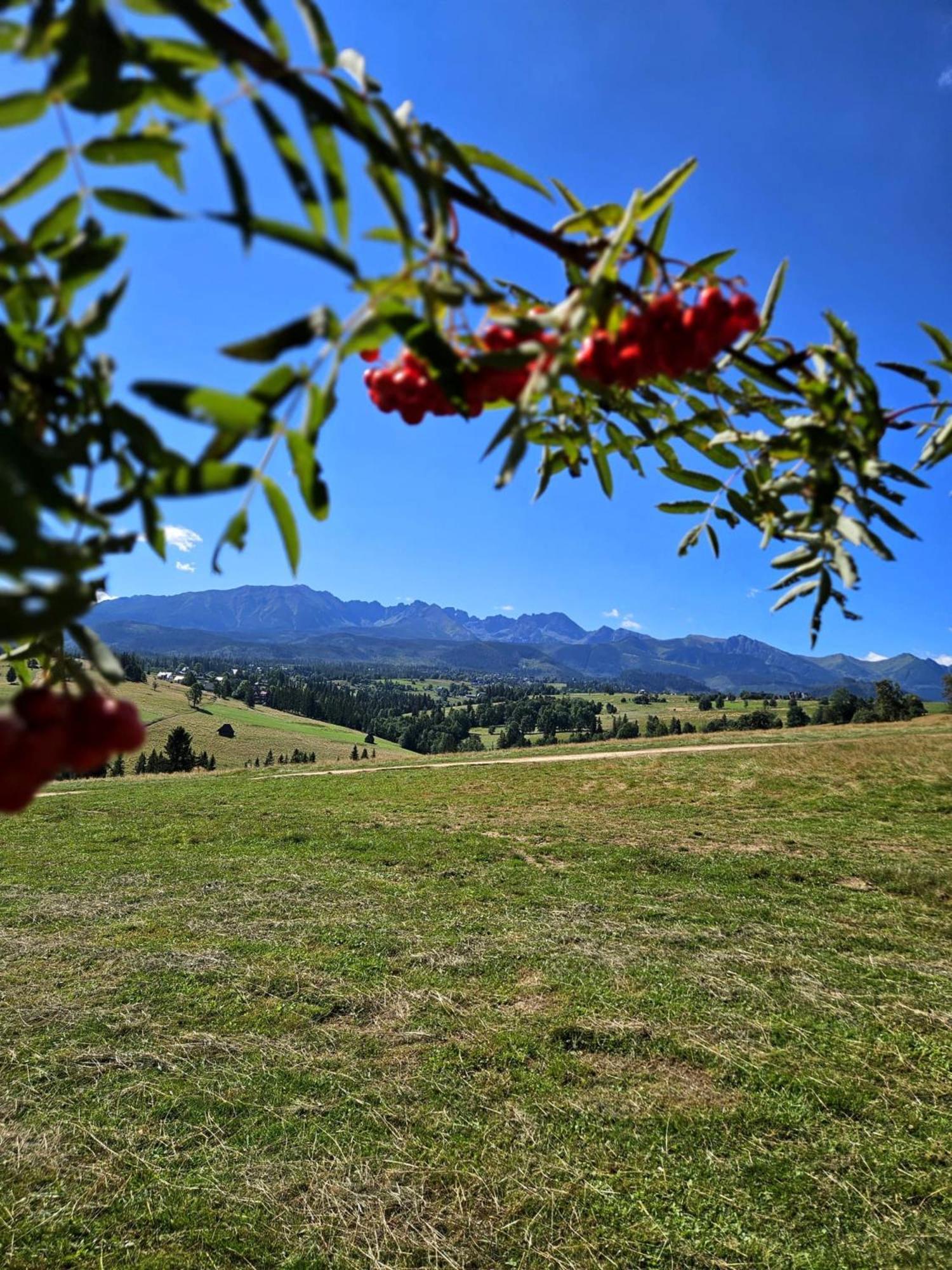 Goralska Chatka 3 Highland Cottage - Jacuzzi, Sauna, Split Ac, Private Parking, Mountains View ซาโกปาเน ภายนอก รูปภาพ