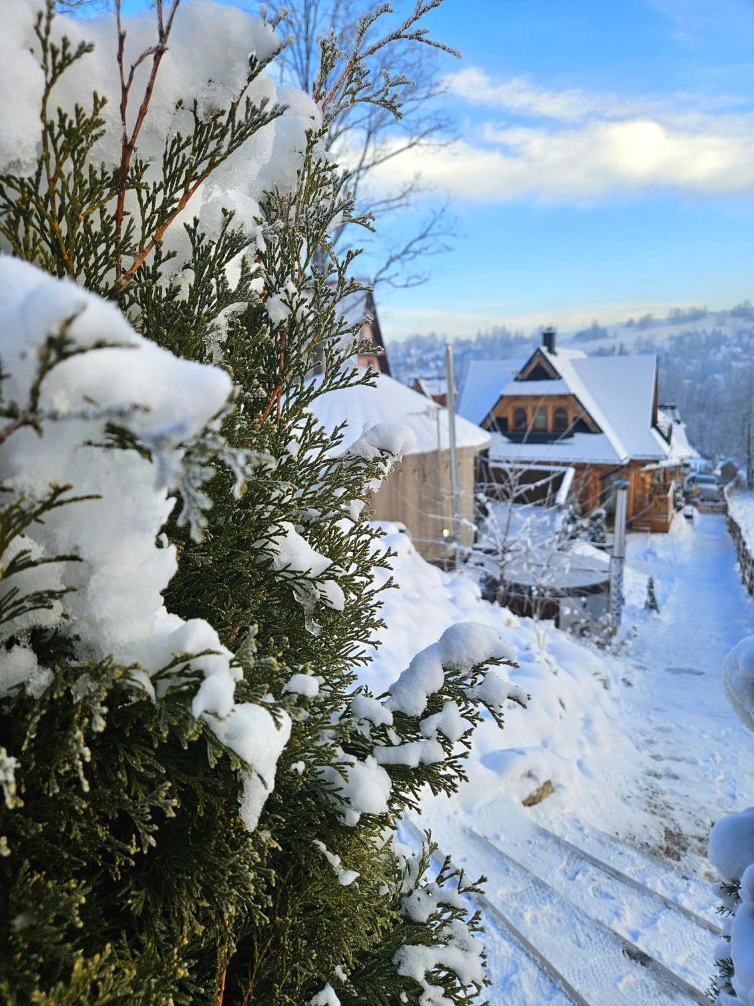 Goralska Chatka 3 Highland Cottage - Jacuzzi, Sauna, Split Ac, Private Parking, Mountains View ซาโกปาเน ภายนอก รูปภาพ